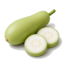 Bầu