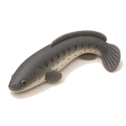 Cá lóc