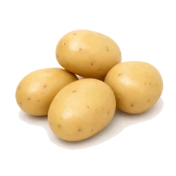 Khoai tây