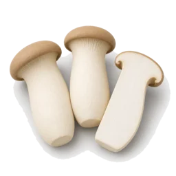 Nấm đùi gà
