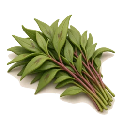 Rau răm